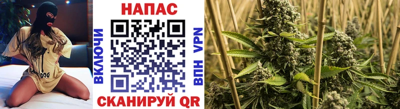 наркота  Хадыженск  мега сайт  Каннабис Bruce Banner 